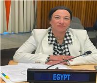  مصر تسلم رئاسة مؤتمر المناخ إلى دولة الإمارات
