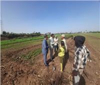 «زراعة المنوفية»: توزيع 8 آلاف و235 طن أسمدة علي المزارعين .. وتطهير 13 كم مساقي خصوصية
