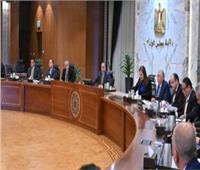 مجلس الوزراء: استمرار حظر تصدير البصل حتى 30 مارس المقبل