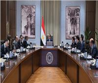 مدبولي: مصر تولي أهمية لتوطين صناعات مكونات مشروعات الطاقة المتجددة
