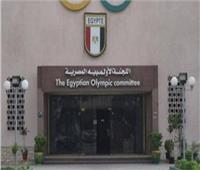 اجتماع عاصف داخل اللجنة الأولمبية بعد قرار وزير الرياضة بوقف اتحاد الفروسية| خاص 