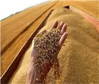 «التموين» تطرح كميات من القمح للتداول عبر البورصة المصرية للسلع غداً