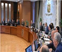 مدبولي: مصر تواصل جهود التنسيق الكامل للوصول لحلول للأزمة الراهنة في غزة