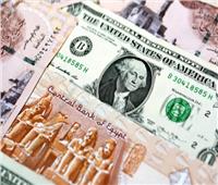 بين المضاربات والاكتناز| «الدولار » هل يدفع بسرعة التعويم الرابع للجنيه