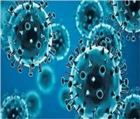 «الحكومة»: لا صحة لظهور متحور جديد لفيروس كورونا مميت وشديد الخطورة 