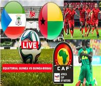 بث مباشر مباراة غينيا الاستوائية وغينيا  في ثمن نهائي كأس الأمم الإفريقية 