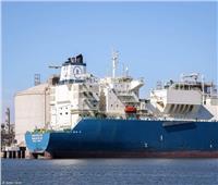  ميناء دمياط تستقبل 9 سفن محملة بـ  45840 طن بضائع
