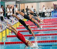 مصر تشارك في بطولة العالم لألعاب الماء في قطر بـ 22 سباح وسباحة 