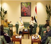 وزيرة التخطيط تبحث التعاون المشترك مع رئيس البنك الإسلامي للتنمية