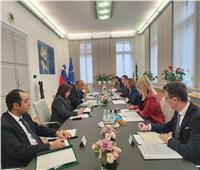 وزير الخارجية يعقد مباحثات مع نظيرته السلوفينية للتعاون الاقتصادي
