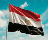 مصر تستنكر عجز مجلس الأمن عن إصدار قرار بوقف إطلاق النار فى غزة