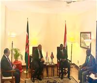 وزير الخارجية يلتقي مع رئيس مجلس الوزراء ووزير الشئون الخارجية الكيني