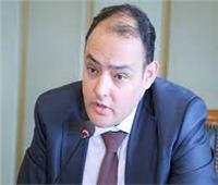 وزير التجارة يستعرض فرص ومقومات الاستثمار في مصر