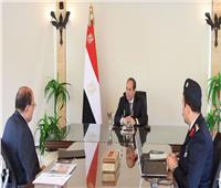 الرئيس السيسى يتابع نسب تنفيذ مشروع مستقبل مصر بالدلتا الجديدة