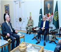 رئيس وزراء باكستان يؤكد التضامن الكامل مع فلسطين ويطالب بوقف العدوان الإسرائيلى