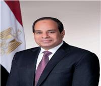 الرئيس السيسي والمستشار النمساوي يستعرضان جهود مصر لوقف إطلاق النار في غزة