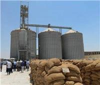 محافظ الشرقية: 56 صومعة وهنجر جاهزة لاستلام القمح من المزارعين 