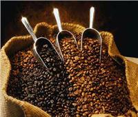 عضو شعبة البن: 5 عوامل أساسية ترفع معدلات استهلاك المصريين من القهوة 