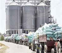     توريد 22 ألف طن من محصول القمح بالشون والصوامع الحكومية بمراكز المنيا