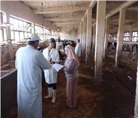تحصين 72427 رأس ماشية ضد مرضي الحمى القلاعية والوادى المتصدع