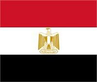 الاتحاد العربى للتضامن الاجتماعى يدعو لضخ الاستثمارات العربية بمصر
