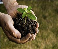 في اليوم العالمي الثالث لـ «الصحة النباتية».. تعرف على أهدافه