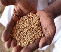 لاستمرارالصراع الدائر.. السودان يعول علي روسيا زيادة إمدادات القمح