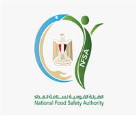 "سلامة الغذاء":  405 ألف طن صادرات غذائية مصرية .. والسودان وهولندا أكبر الأسواق المستوردة