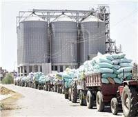  تموين الشرقية: استلام أكثر من 600 ألف طن قمح من المزارعين