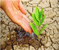 فى يومها العالمي .. البيئة ترفع شعار «استعادة الأراضي ومكافحة التصحر»