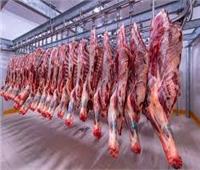 التموين: استمرار ضخ اللحوم حتى ثالث أيام العيد بأسعار تبدأ من 220 جنيها