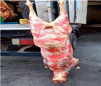 نصائح لحفظ اللحوم وتخزينها بعد الذبح