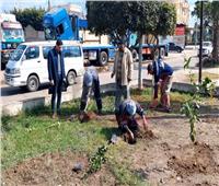 محافظ المنوفية يتابع جهود لمحليات في تنفيذ المبادرة الرئاسية «100 مليون شجرة»