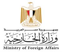 د. بدر عبد العاطي يتعهد بالاستمرار في الدفاع عن المصالح المصرية وأمن مصر القومي