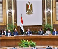 الرئيس السيسي يجتمع بالحكومة الجديدة عقب أدائهم اليمين الدستورية