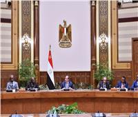 الرئيس السيسي: نحرص على تعزيز التعاون مع الدول الأفريقية الشقيقة لمكافحة الإرهاب