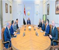  السيسي: الدولة المصرية حريصة على جذب الاستثمارات الأجنبية المباشرة في قطاع الطاقة المتجدد