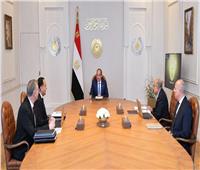 الرئيس السيسي يوجه بالحفاظ على أرصدة استراتيجية آمنة من المنتجات البترولية