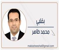 محمد طاهر يكتب: الكلاب الضالة والأمن المجتمعى