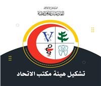 بالأسماء تشكيل هيئة مكتب اتحاد المهن الطبية : القاضي أمينا عاما والحسيني لأمانة الصندوق