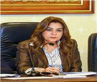 التنمية المحلية والبيئة تعلن إنجاز استراتيجي جديد بانتهاء المشروع الوطني
