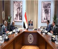 رئيس الوزراء يوجه بسرعة تنفيذ مبادرة الطاقة الشمسية للمصانع والمنازل