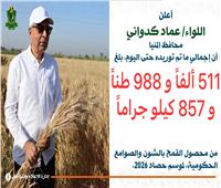 محافظ المنيا انتظام أعمال توريد القمح واستلام نحو 512 ألف طن لدعم المخزون الاستراتيجي