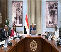 رئيس الوزراء يتابع موقف تنفيذ المشروعات الخدمية والتنموية بمحافظة الوادي الجديد