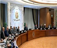 رئيس الوزراء: توريد 4.6 مليون طن قمح من المزارعين حتى الآن 