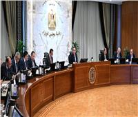 رئيس الوزراء يتابع موقف توافر مخزون من الأدوية والمستحضرات الطبية وسداد مستحقات الشركات