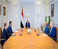الرئيس يجتمع بمدبولي ووزيرالكهرباء لاستعراض مشروعات تدعيم الشبكة القومية للكهرباء