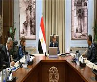 رئيس الوزراء يستعرض الموقف التنفيذي للمشروعات الخدمية والتنموية في «البحر الأحمر»