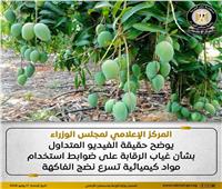 «إعلامي الوزراء» يوضح حقيقة فيديومتداول لاستخدام مواد كيميائية تسرع نضج الفاكهة