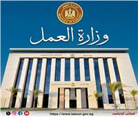 وزارة العمل تعلن  85 وظيفة بالإسماعيلية من بينها لذوي الهمم